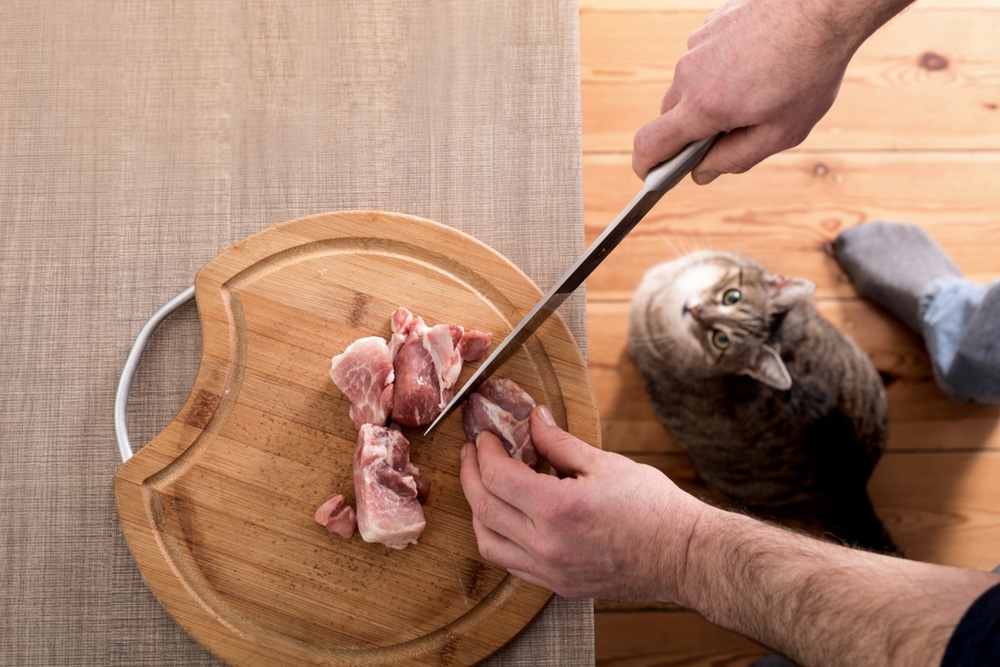 Can Cats Eat Pork [2021] Safe or Bad for Kittens to Have Cooked or Raw